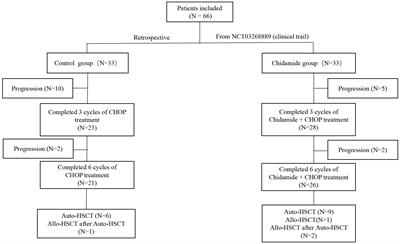 Clinical trial: Chidamide plus CHOP improve the survival of newly diagnosed angioimmunoblastic T-cell lymphoma